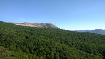 Прикрепленное изображение: IMG_20180502_162410_HDR.jpg